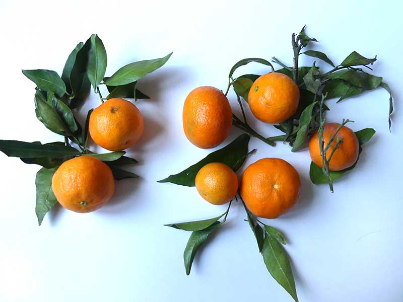 frische und leckere Mandarinen vom Markt