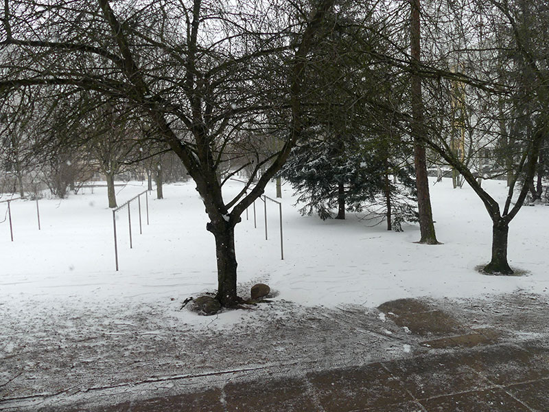 Schnee in Leipzig