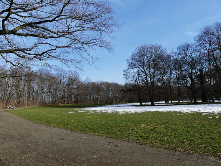 Im Schönauer Park. Die Gudrun musste an die frische Luft.
