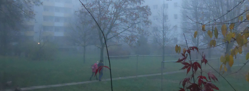 Nebel – Schwaden und Nebeldunst. Herbst eben.