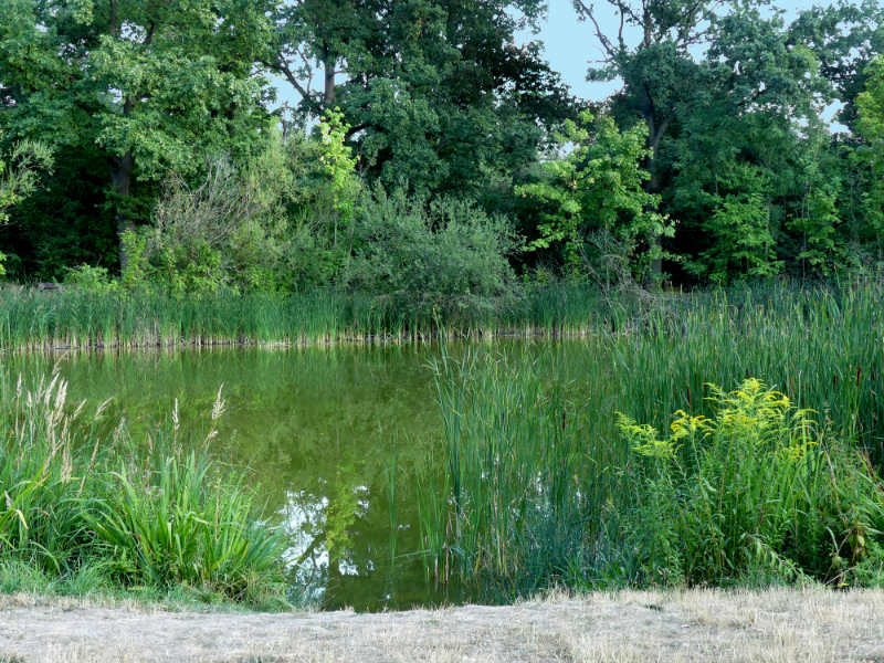 In den Schönauer Park mit dem ERolli