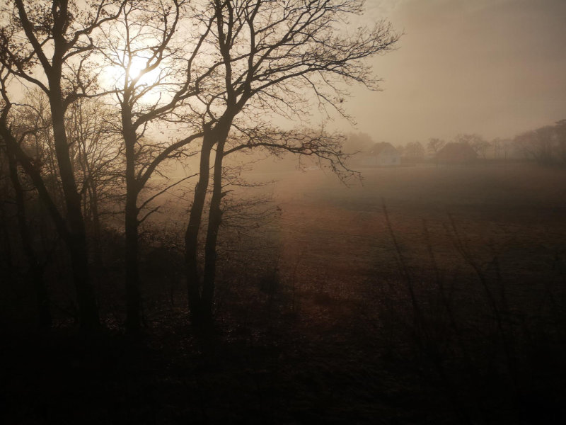 Nebel, fotografiert aus dem Zugfenster
