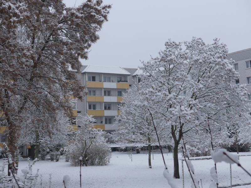 Winter Wunderland im Innenhof