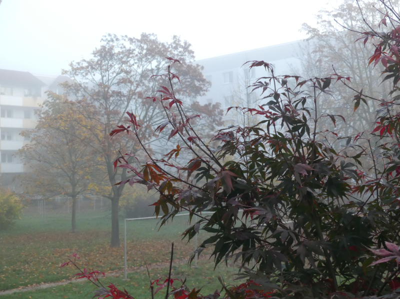 nach Herbstsonne sieht es hier noch nicht aus.