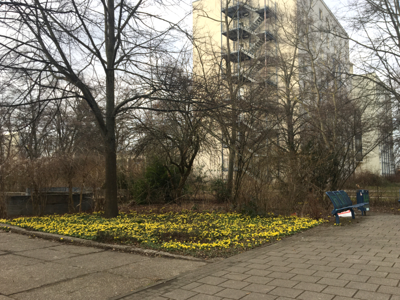 Sonntagsspaziergang am Wahltag