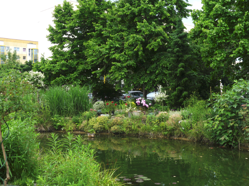 Der Teich im Kolonadengarten