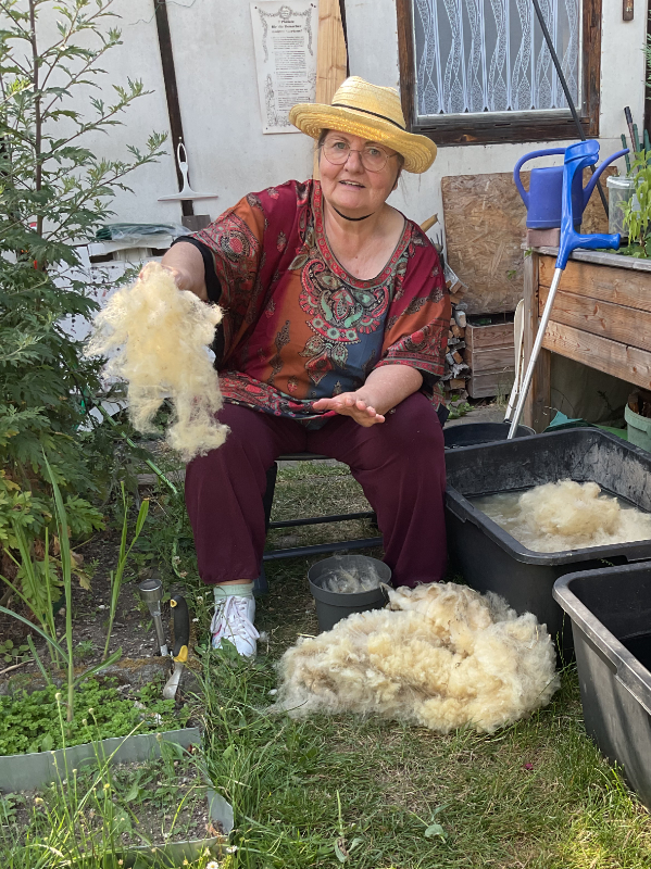 Wolle sortieren, zupfen und Waschen