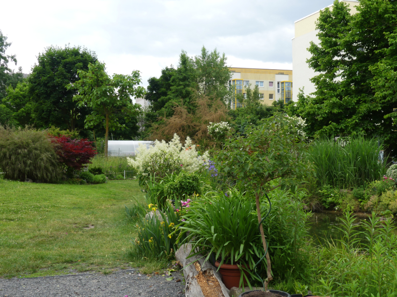 der Kolonadengarten zwischen den Häusern