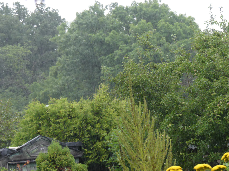 Regen