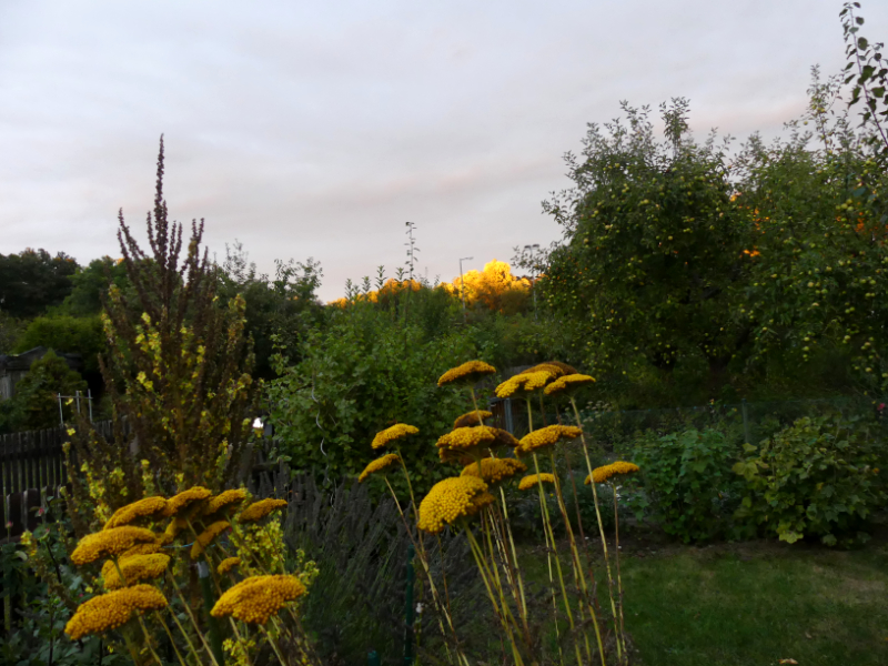 ein Schein am Himmel