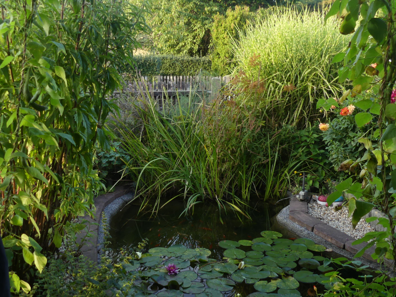 Wasser für Fische, Insekten und Tiere.