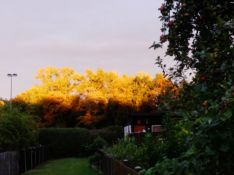 Die letzten Sonennstrahlen grüßen. Ein Bisschen sieht es schon nach Herbst aus.
