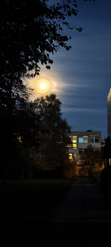 Der Mond zieht seine Bahn über meinem Innenhof.