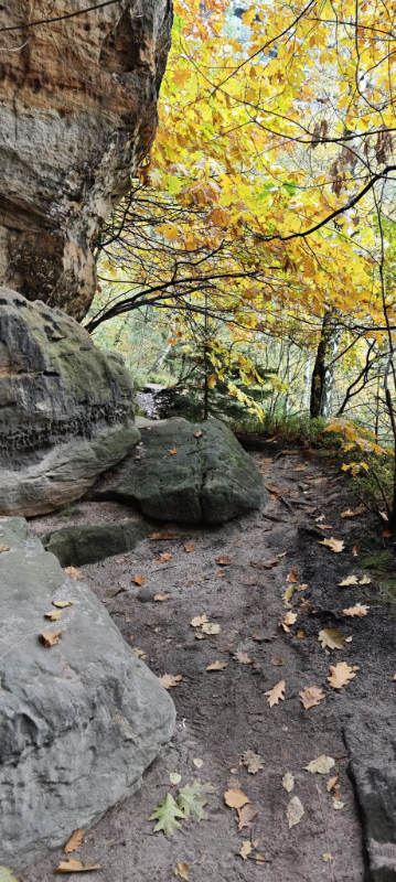 Wanderwege in meiner Heimat