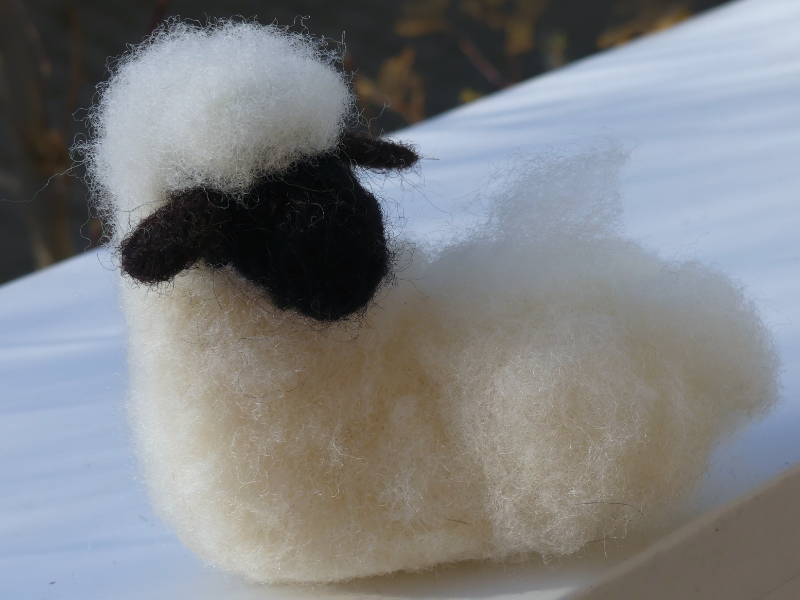 Der Schafpapa muss Wolle spendieren
