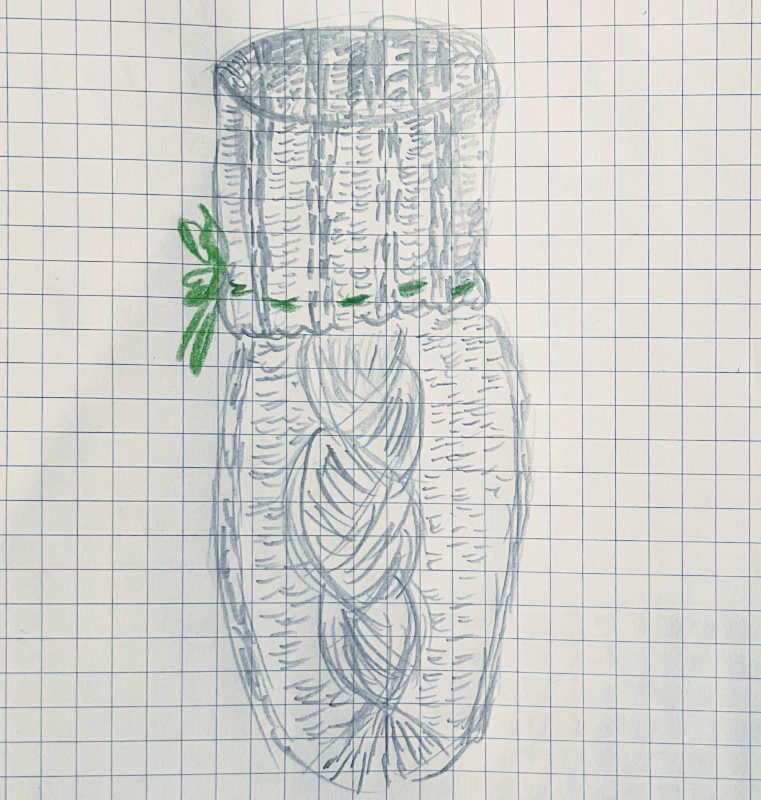 Entwurf Hüttenschuh