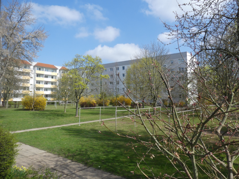 blauer Himmel und Sonnenschein an dem besonderen Tag heute für mich