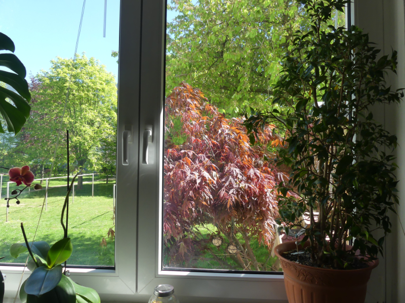 Der Blick nach draußen sorgt für Wohlfühlmomente.