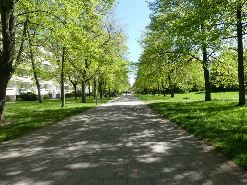 Die Grünauer Allee
